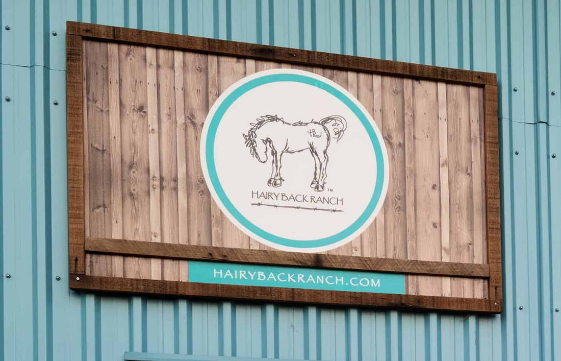 About Hairy Back Ranch