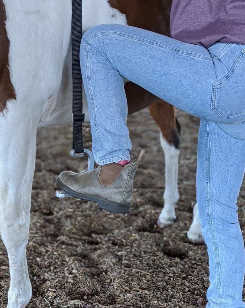 SoloRide® Hairy Back Ranch